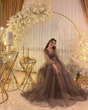 A-line V-neck Tulle Illusion Evening Dress Sheer Long Sleeves Evening Gown Y1204