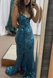Glitter Sequin Mermaid Prom Dress Long Backless Evening Dress Y7906