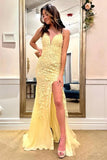 Tulle Mermaid V-neck Spaghetti Straps Lace Appliqued Prom Dresses