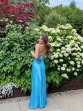 Blue Backless Long Prom Dress Evening Dress Y7516
