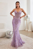 Formal Long Corset Prom Dress
