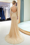 Long Mermaid Sequins Formal Evening Dresses with Sleeves