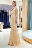 Long Mermaid Sequins Formal Evening Dresses with Sleeves